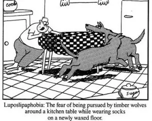 larson_2.webp